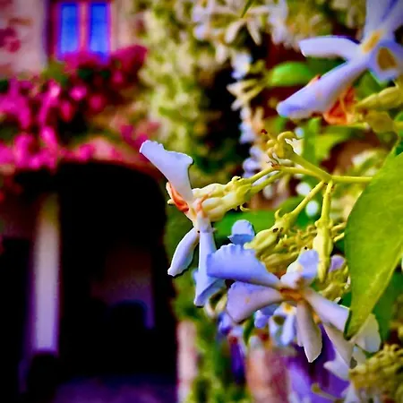 Podere Di Belforte *