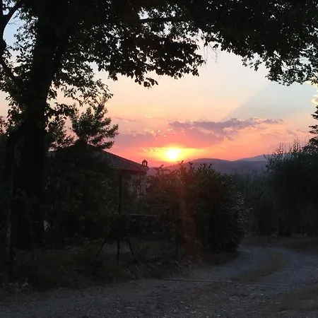 Podere Di Belforte